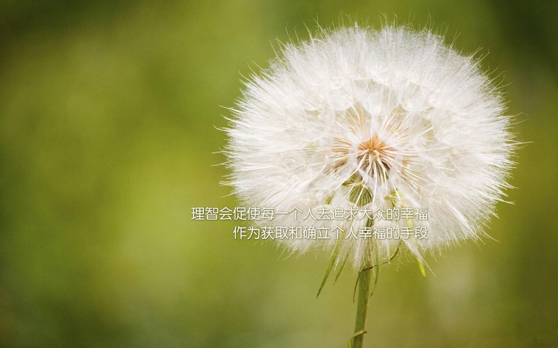爱游戏APP-多特蒙德勇夺三分，逼近联赛榜首，多特蒙德比赛分析