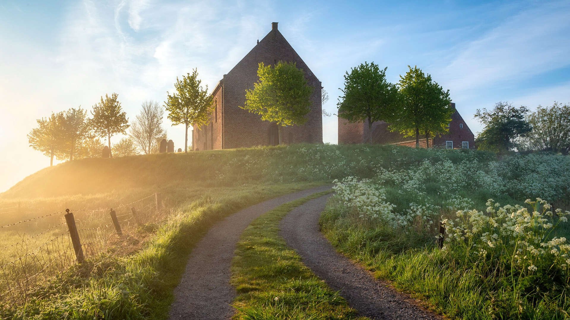 全国自由式摔跤锦标赛山东女将夺魁，全国自由式摔跤比赛