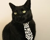 意甲裁判团队开展多国裁判语境一致性训练营提升执法质量,意大利裁判员