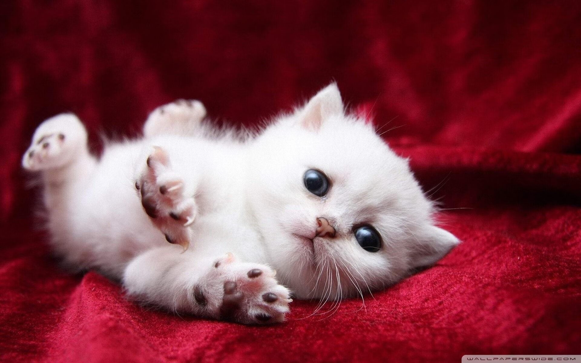 运动装备市场需求分析报告，运动用品行业分析