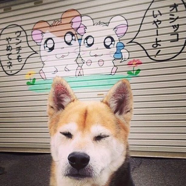 青少年乒乓球运动发展路径与实践成果