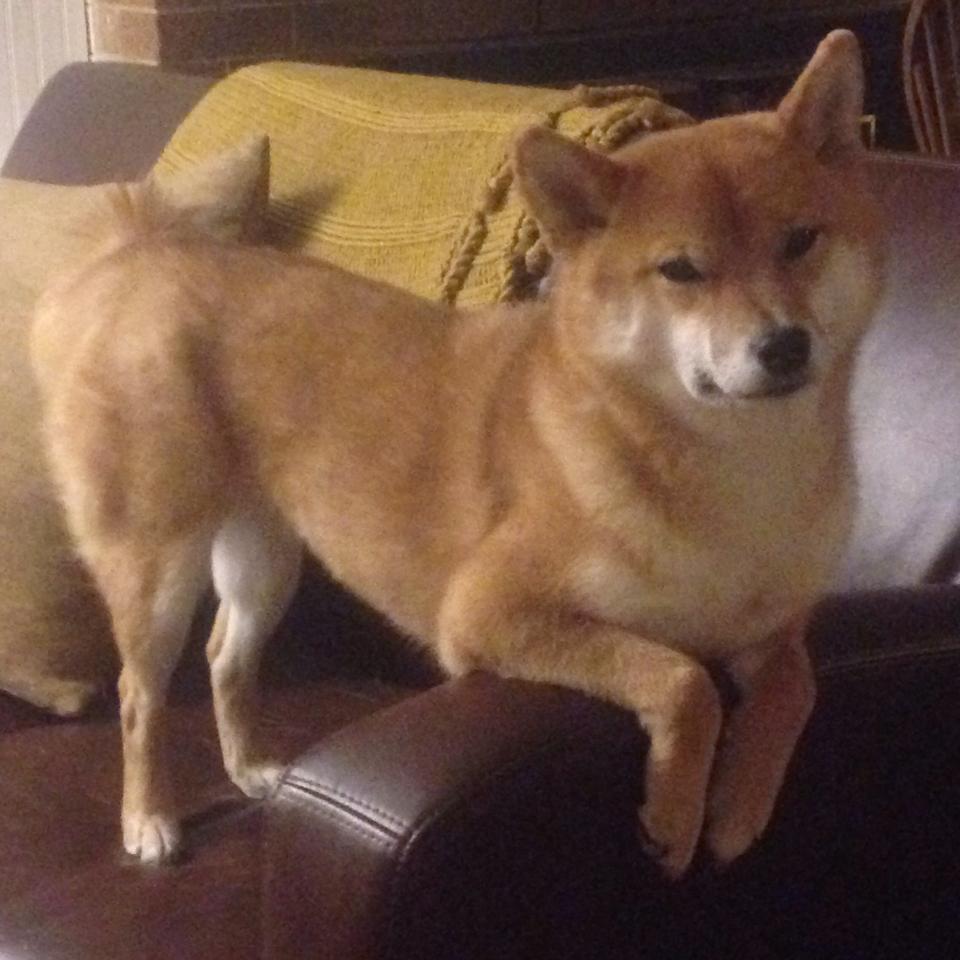 高校体育课程教学创新策略,大学体育课应该如何创新2000字