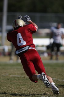 爱游戏-五大联赛最具统治力的球队如何打造，五大联赛良心球队