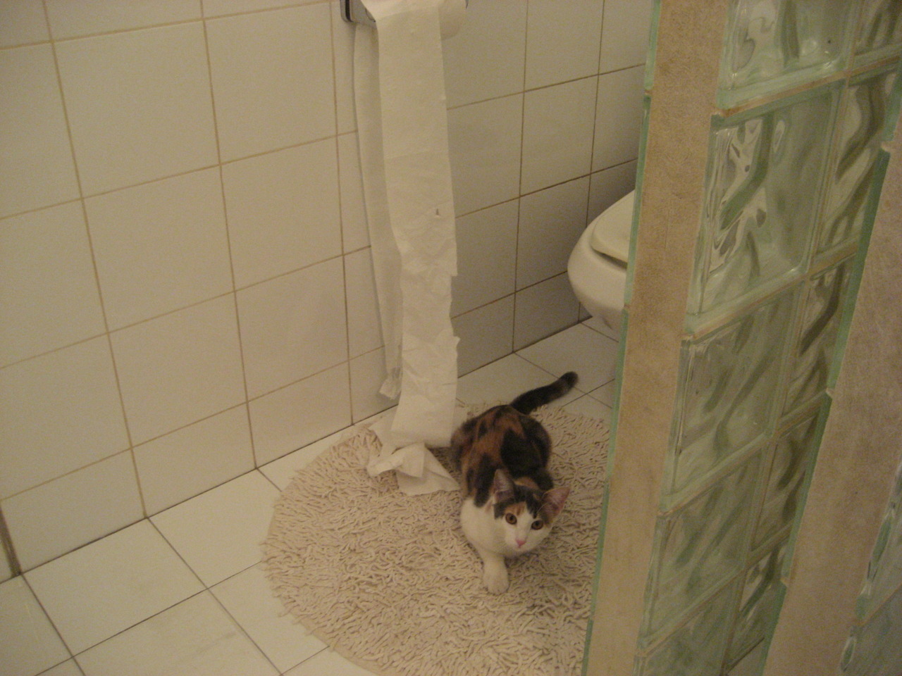 体育新闻中心上线体育赛事热点舆情智能预警系统，体育新闻资讯