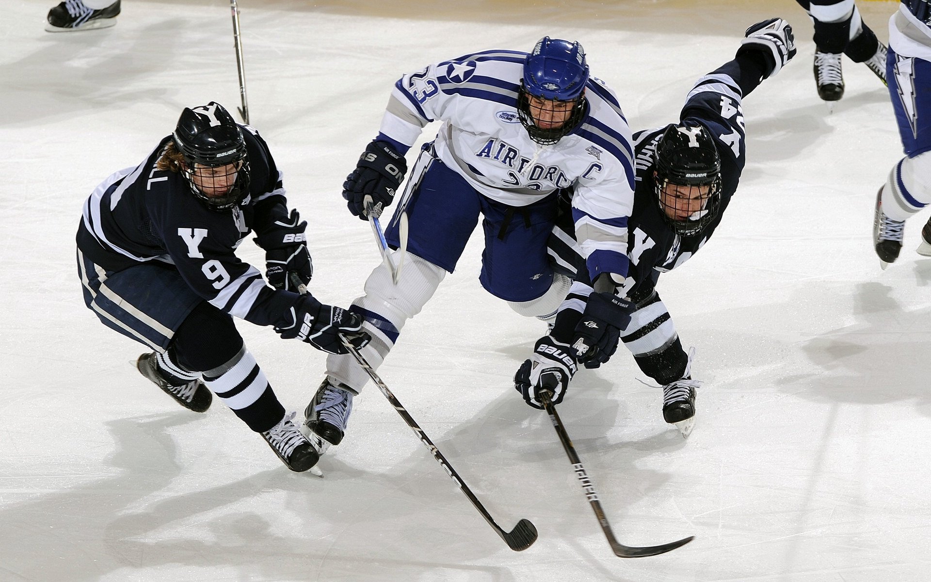 _网球联盟推新赛制，激发赛事观赏性和竞争性_，网球职业联盟